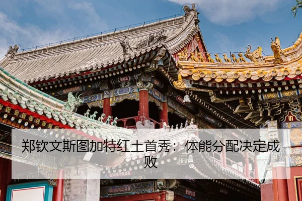 zheng-qin-wen-si-tu-jia-te-hong-tu-shou-xiu-ti-neng-fen-pei-jue-ding-cheng-bai-3-363.jpg