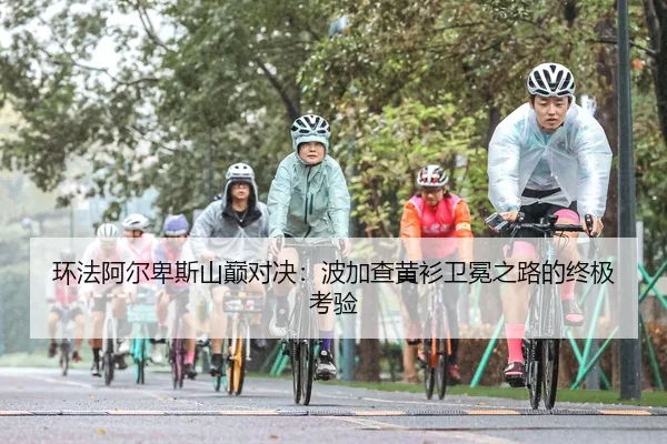huan-fa-a-er-bei-si-shan-dian-dui-jue-bo-jia-cha-huang-shan-wei-mian-zhi-lu-de-zhong-ji-kao-yan-2-514.jpg