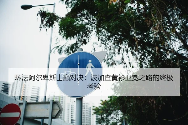 环法阿尔卑斯山巅对决：波加查黄衫卫冕之路的终极考验