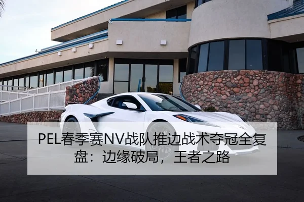 PEL春季赛NV战队推边战术夺冠全复盘：边缘破局，王者之路